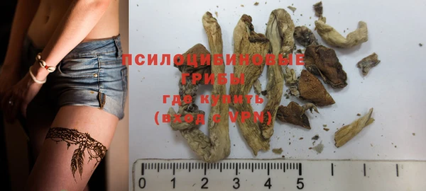 дурь Заводоуковск