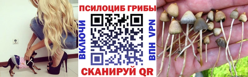 Галлюциногенные грибы прущие грибы  Купить закладки  Мичуринск 